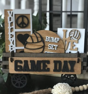 Volleyball Interchangeable Wagon/Crate Shelf Sitter